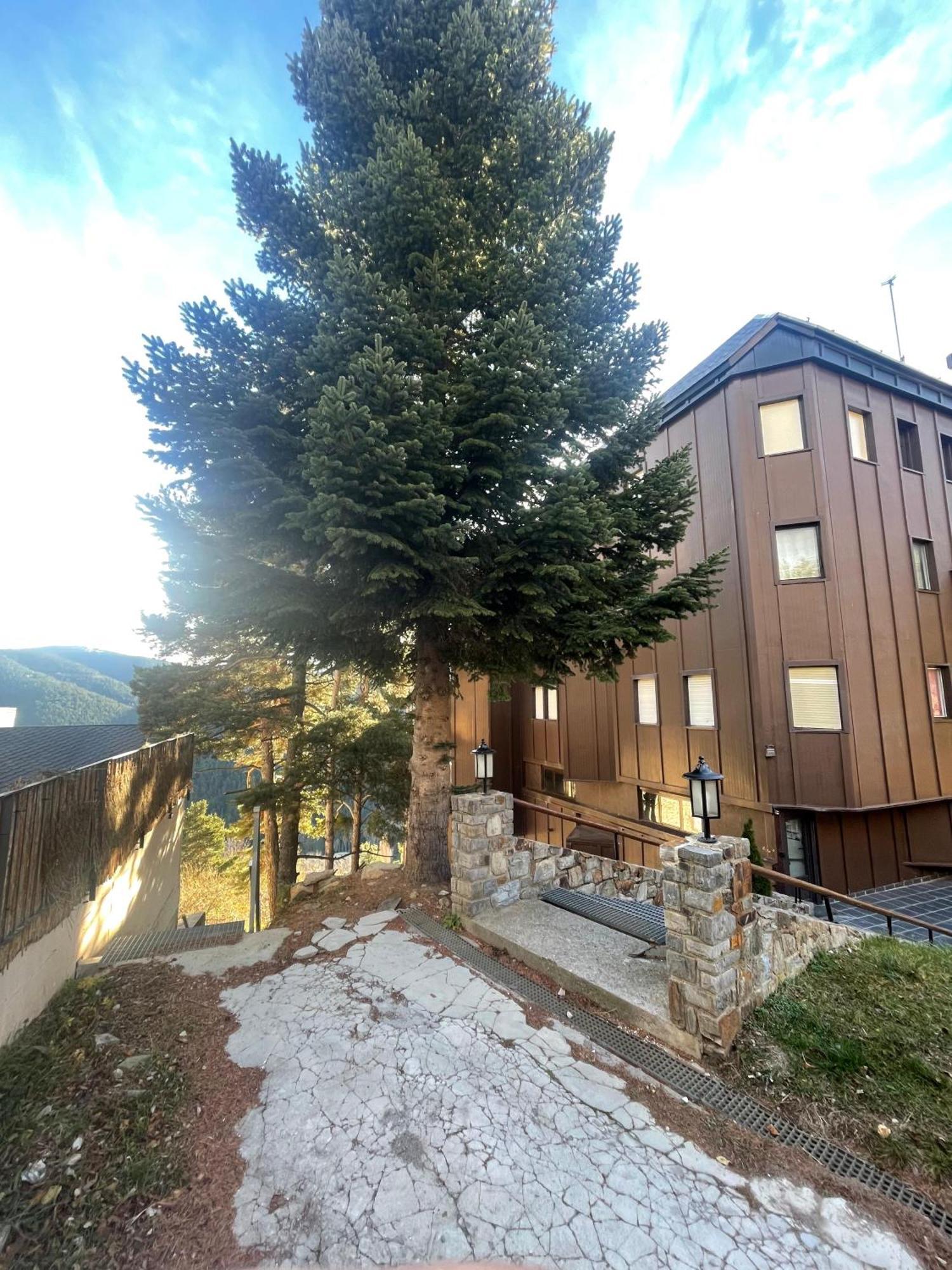 Apartamento Acogedor En La Molina, 2Hab, Wi Fi 拉莫利纳 外观 照片